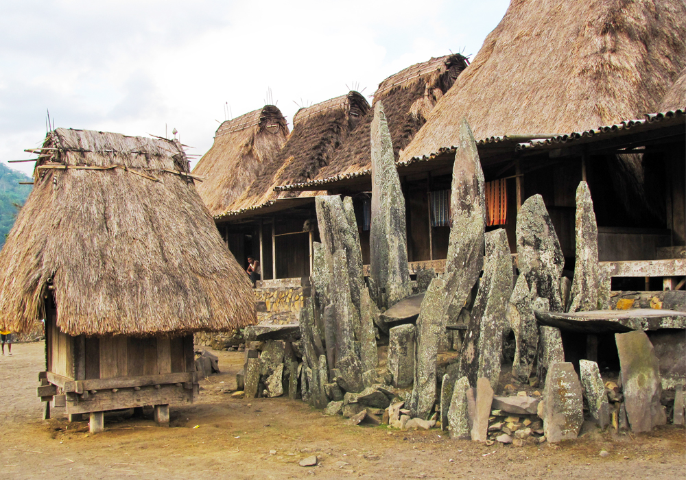 Ende Village Flores