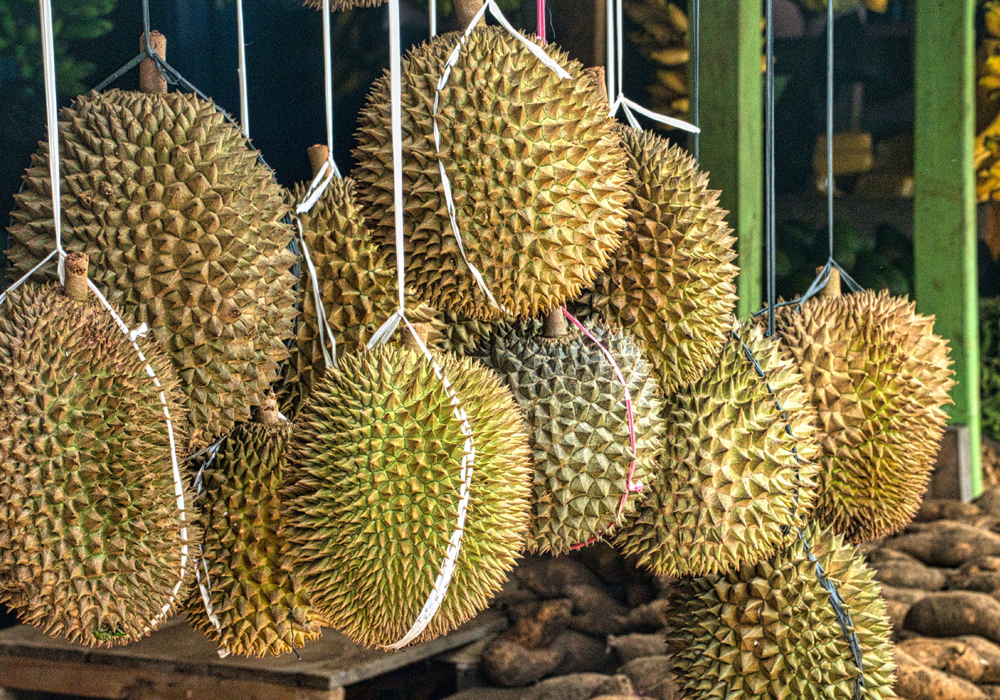 Durian Indonesia