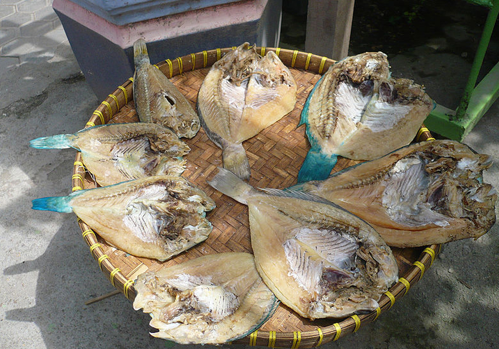 Dried fish 