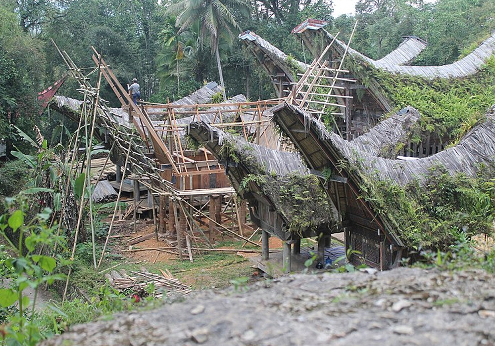 Tongkonan Traditional Torajan People House