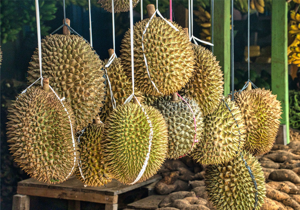 Durian