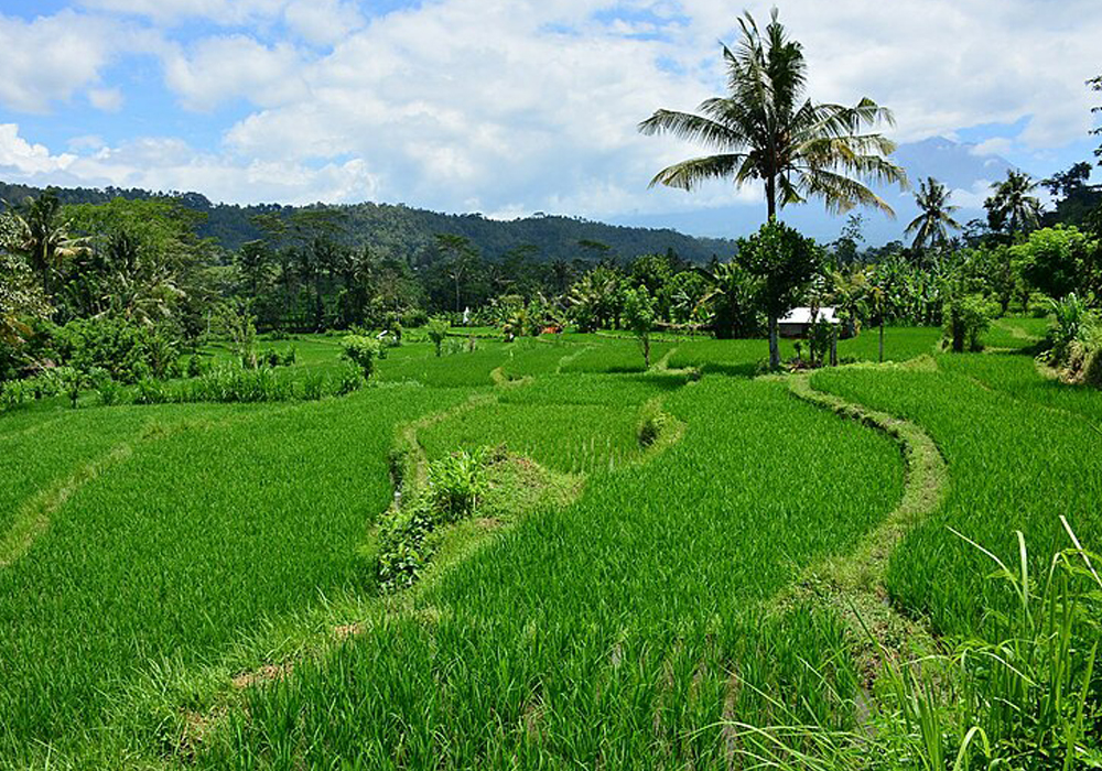 Sidemen village Bali