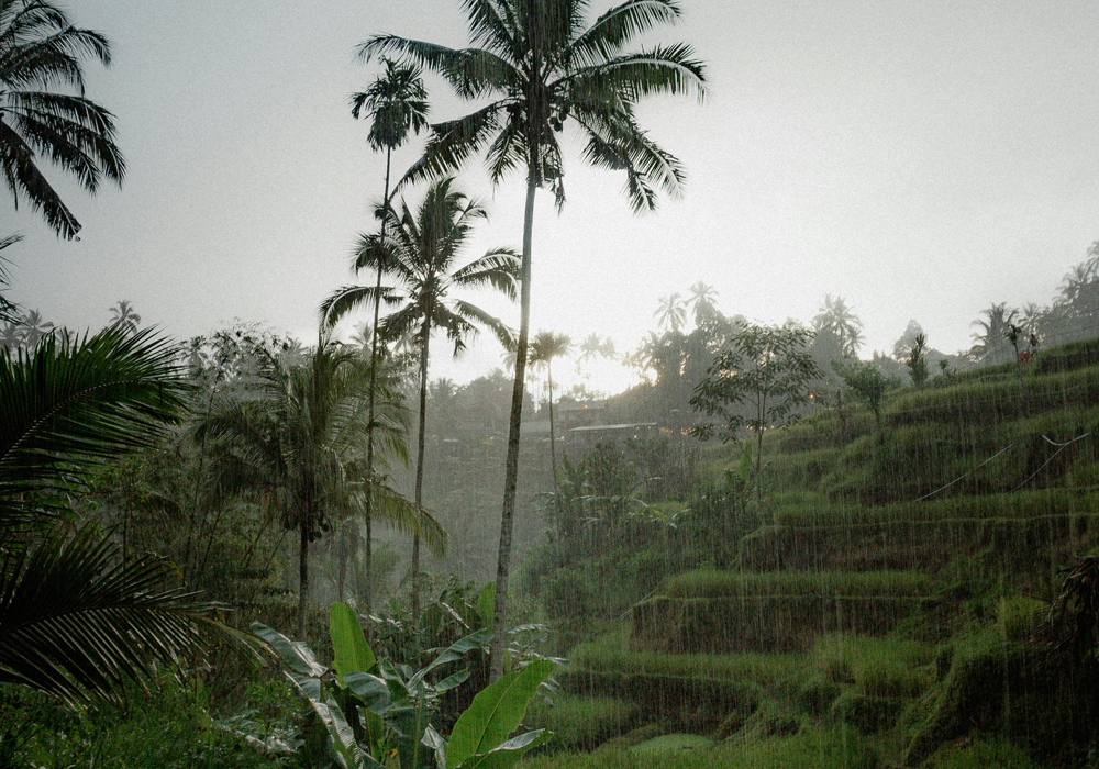 Bali Rain July